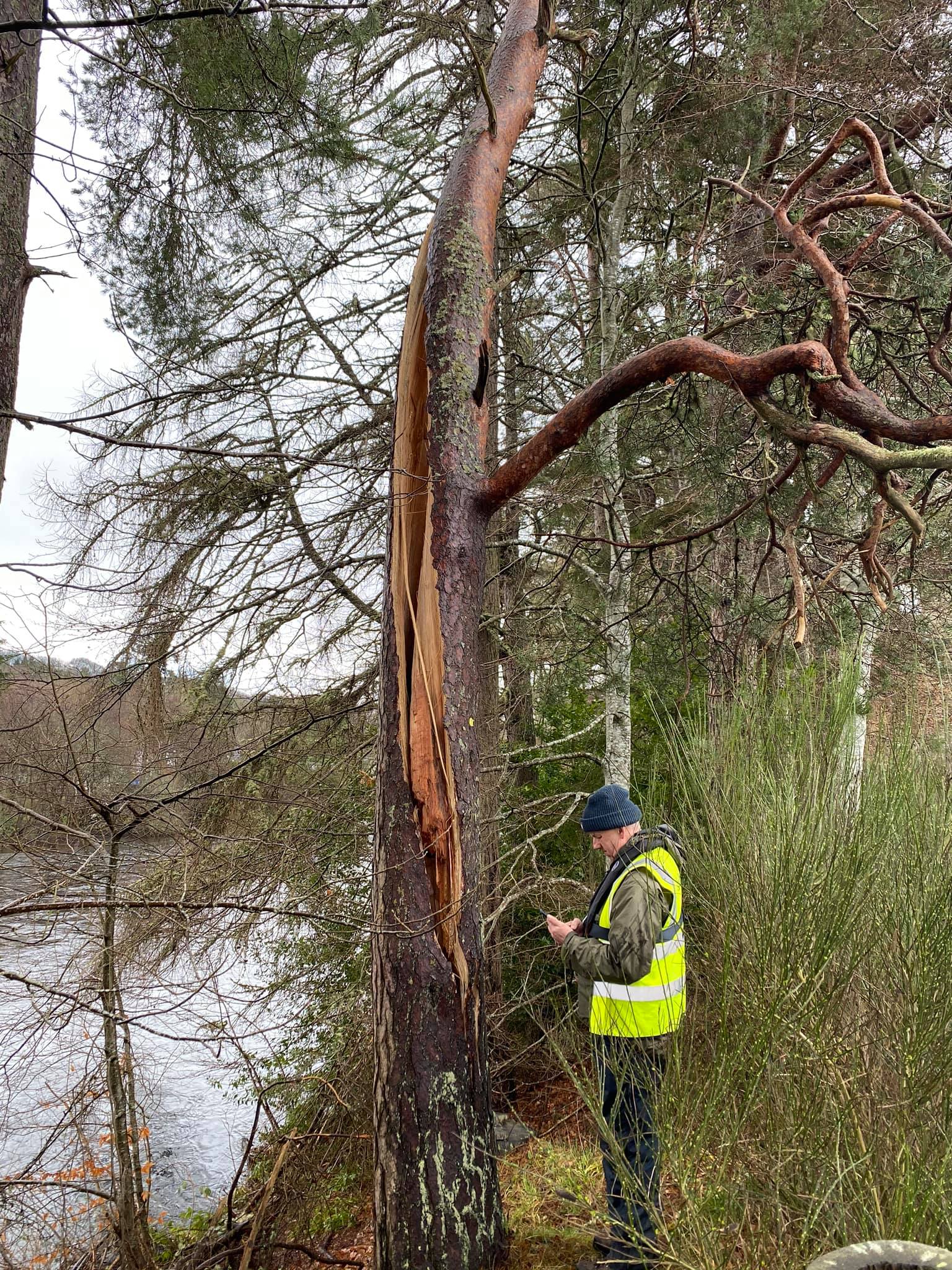 Andrew Jackman Carrying Out Tree survey